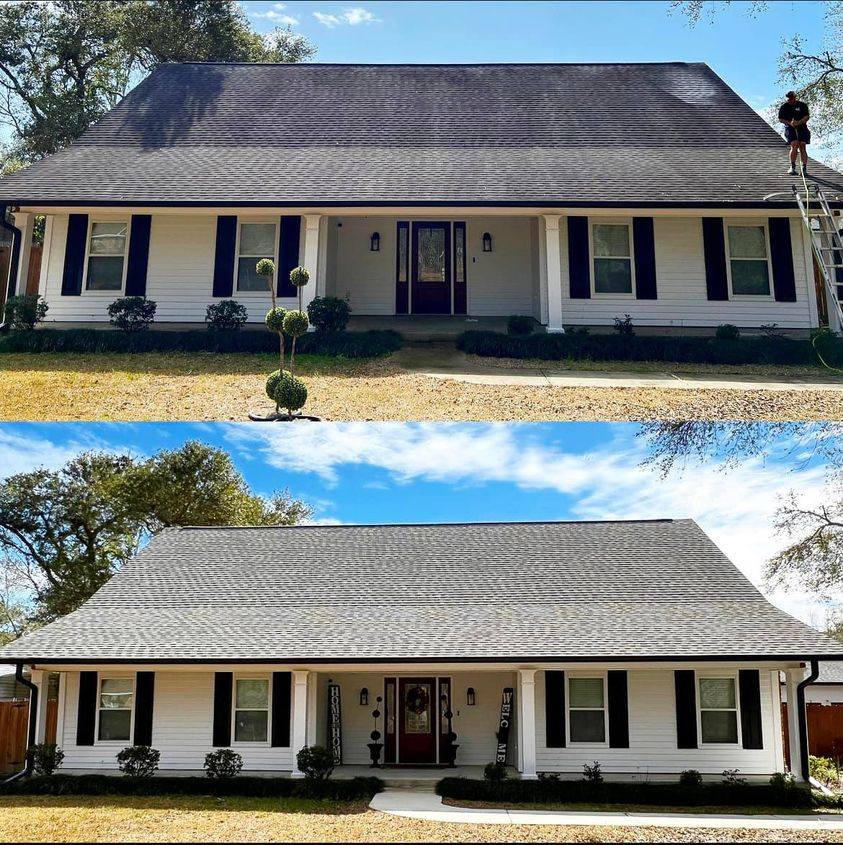 roof cleaning